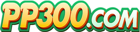 PP300.com